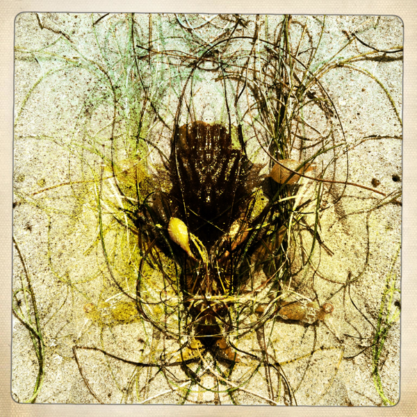 Hip 332032385.725209