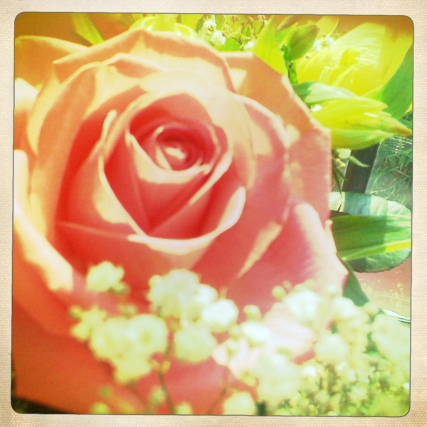 Hip 333616949.546729