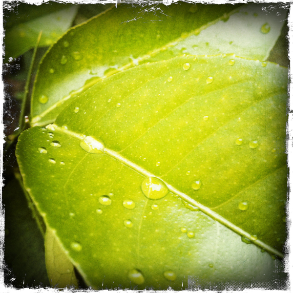 Hip 333655796.445819