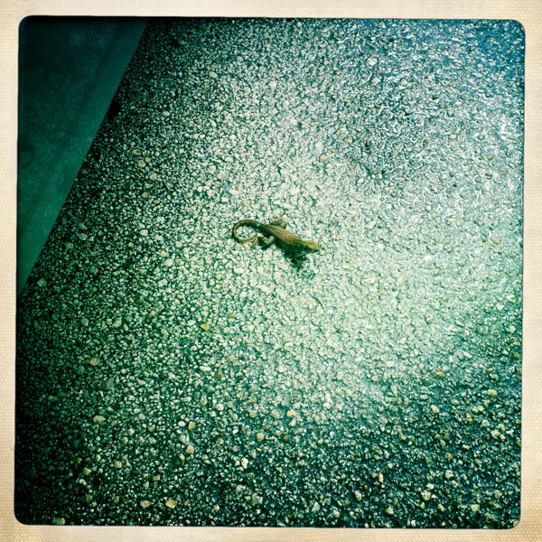 Hip 333645062.432727