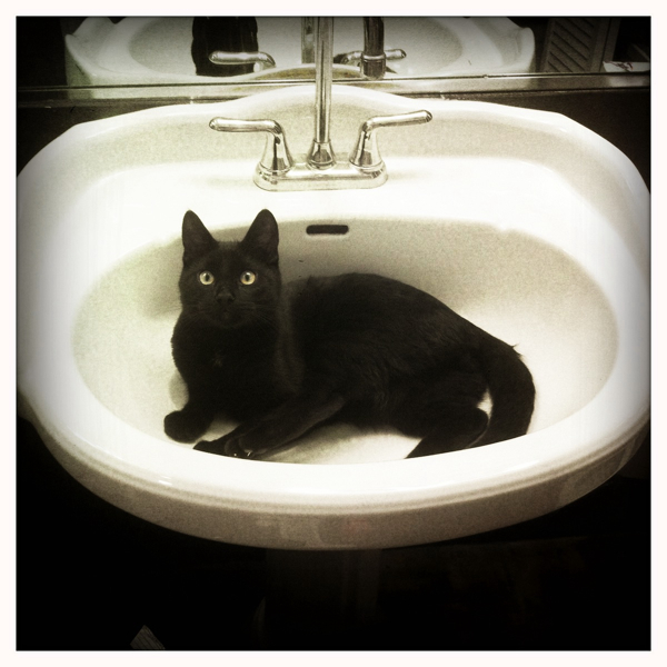 Hip 333759852.575524