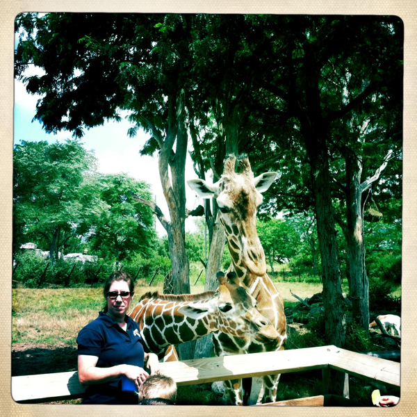 Hip 333745999.842745