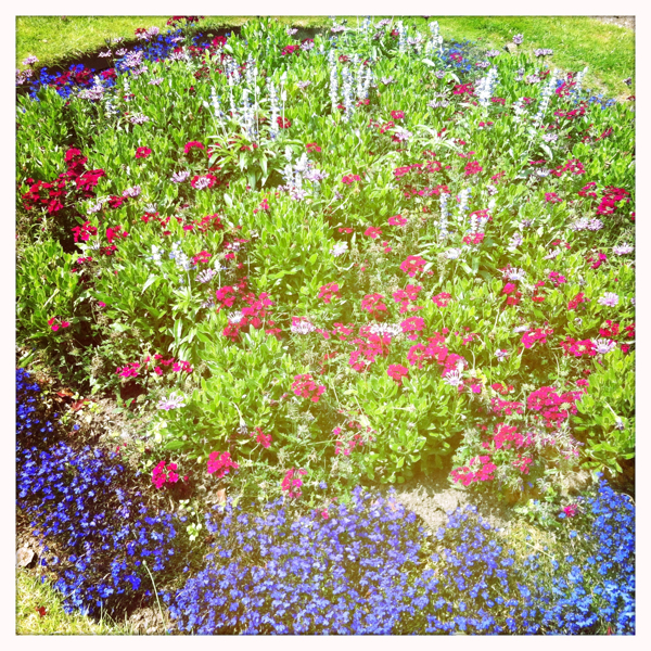 Hip 334581350.928408