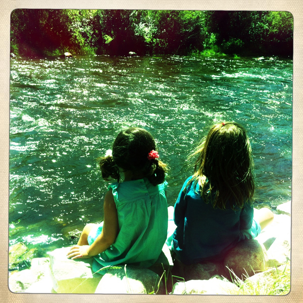 Hip 334441061.234105