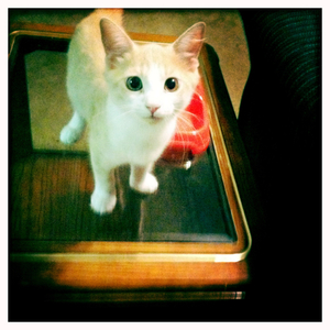 Hip 334628764.527743