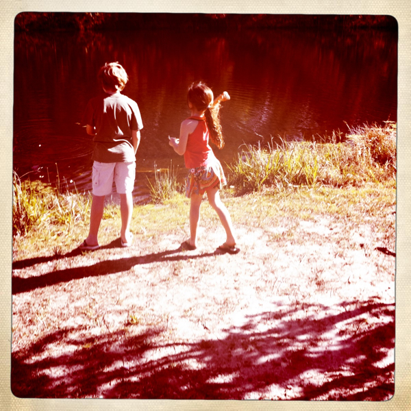 Hip 323557709.195016