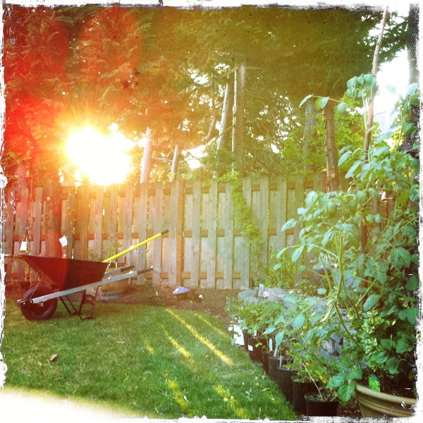 Hip 334464176.996702