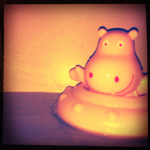 Hip 334434504.920453