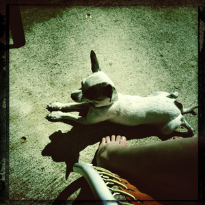 Hip 328652781.194749