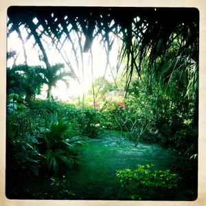 Hip 334049117.690496