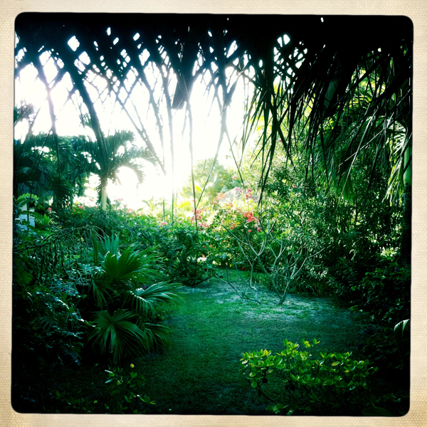 Hip 334049117.690496