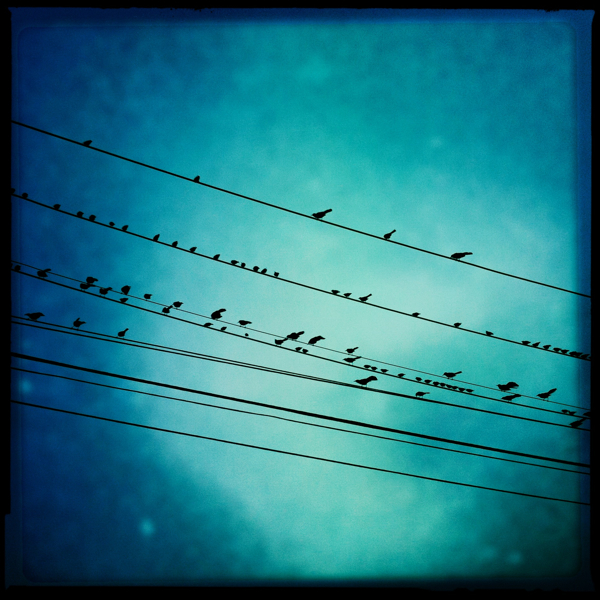 Hip 321756343.272301