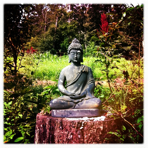 Hip 334422595.410378