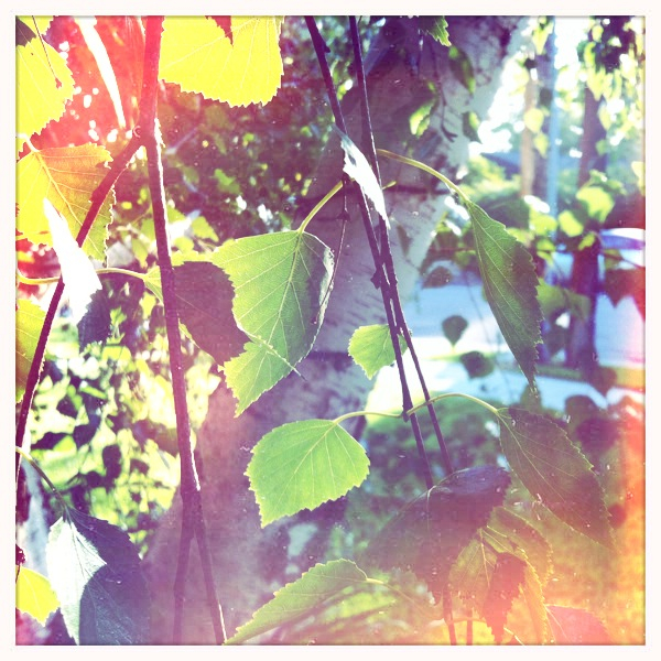 Hip 334634468.570410