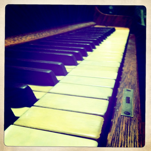 Hip 334639592.240893