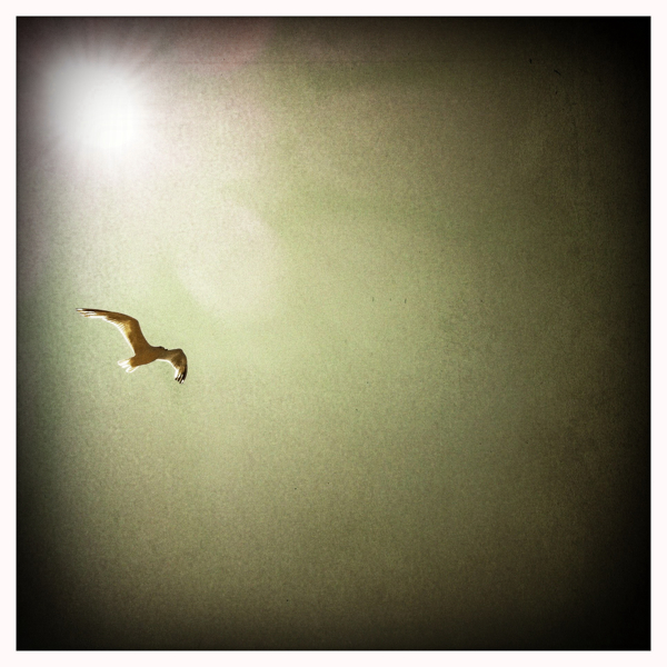 Hip 334614011.289881