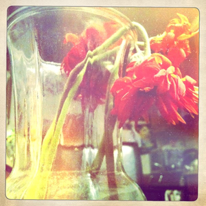 Hip 334640165.147810