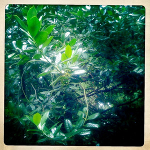 6027438595 f017591a88 b