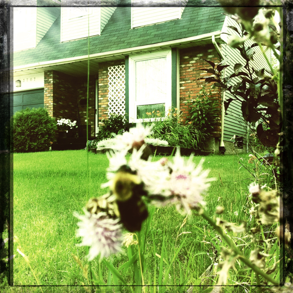 Hip 334453566.099085