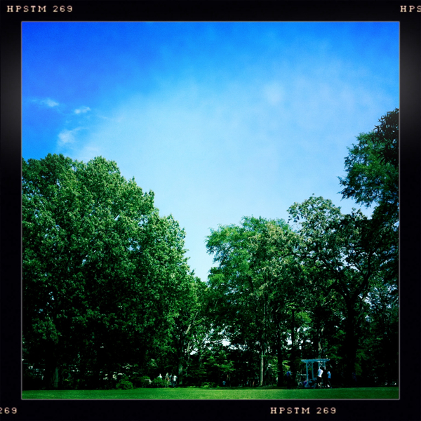 Hip 326839234.052284