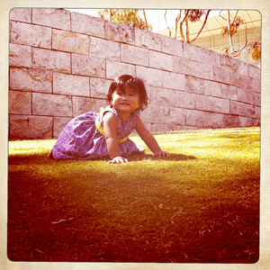 Hip 334620602.727685