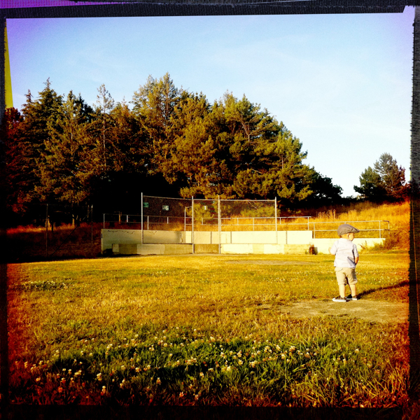 Hip 334550166.571708