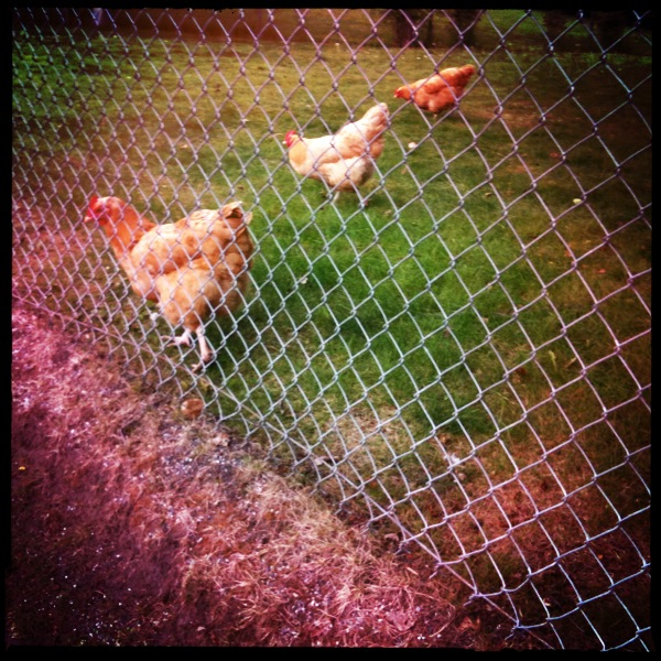 Hip 330153770.015493