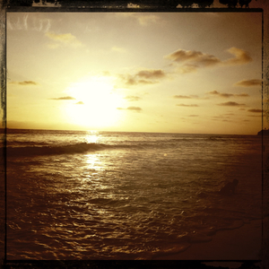 Hip 333512827.371376