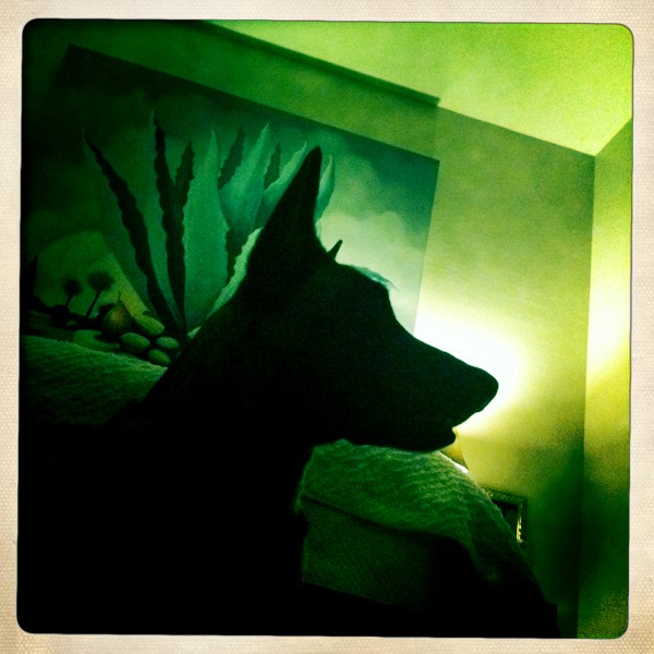 Hip 334646726.011177