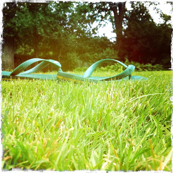 Hip 334268038.798326