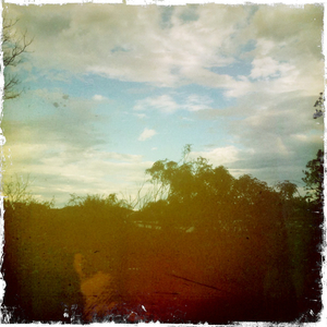 Hip 334384851.547056