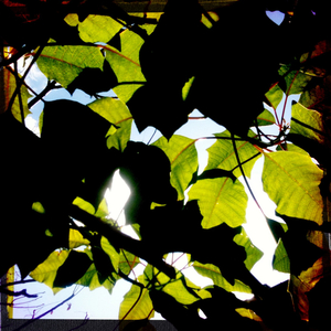 Hip 334639548.422813