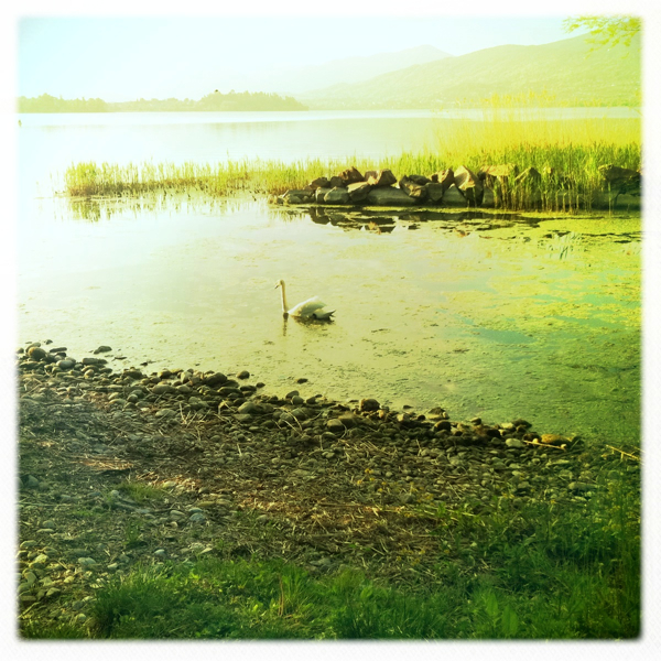 Hip 325963154.308890