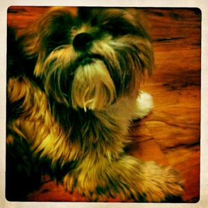 Hip 334558652.822634