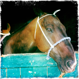 Hip 334618838.463776