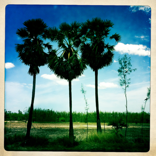 Hip 334393456.510673