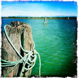 Hip 334655753.429576