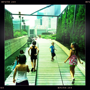 Hip 333996768.150595