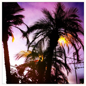 Hip 320750131.050230