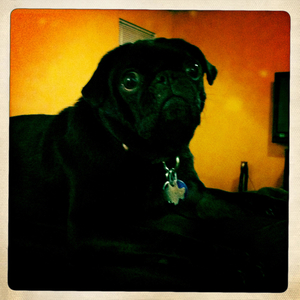 Hip 331873654.562207