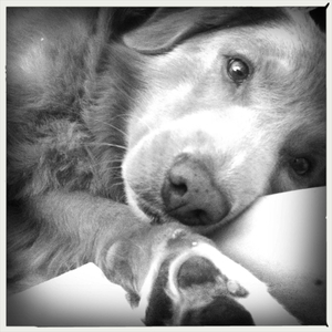 Hip 334479635.255850