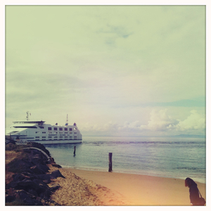 Hip 334460437.546908