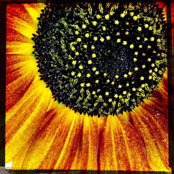 Hip 334324476.923029