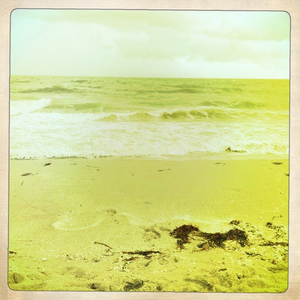 Hip 334682127.009246