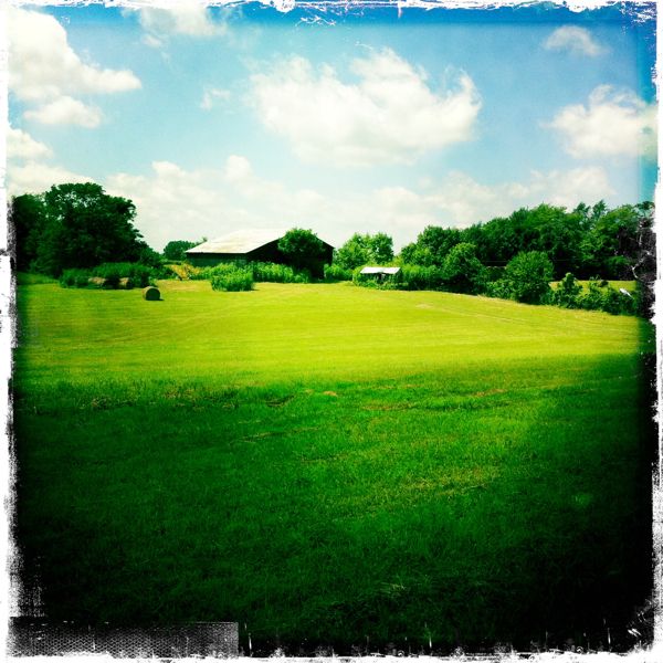 Hip 334610029.660695