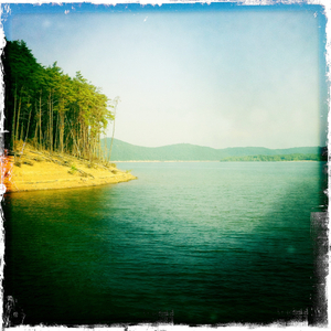 Hip 331598346.886051