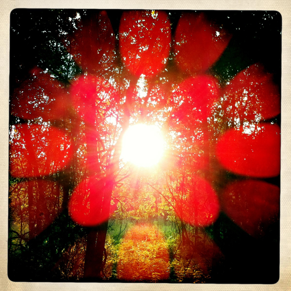 Hip 334453510.498464