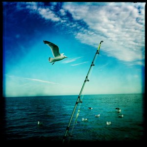 Hip 333477641.766332