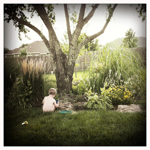 Hip 332204662.587719