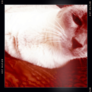 Hip 334688148.488329